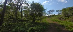 open areas
