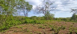 9621 m2 Lot - Walk to Marbella Beach - Ready to Build