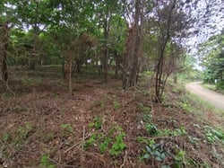 Eco-Development Beach Property 10 000m2 just 5 minutes walk to Marbella Beach