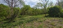 9621 m2 Lot - Walk to Marbella Beach - Ready to Build