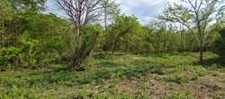 9621 m2 Lot - Walk to Marbella Beach - Ready to Build